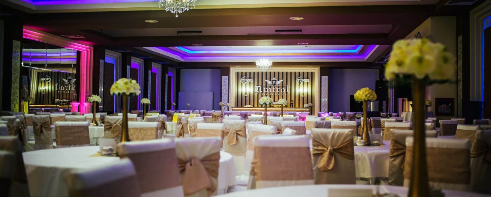 sala-gold-39