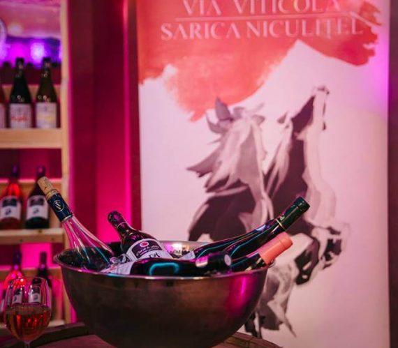 sarica-niculitel-3