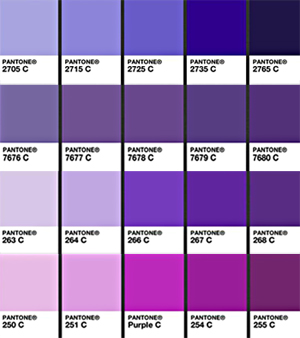 pantone-copy1