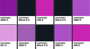 purple-and-black-copy